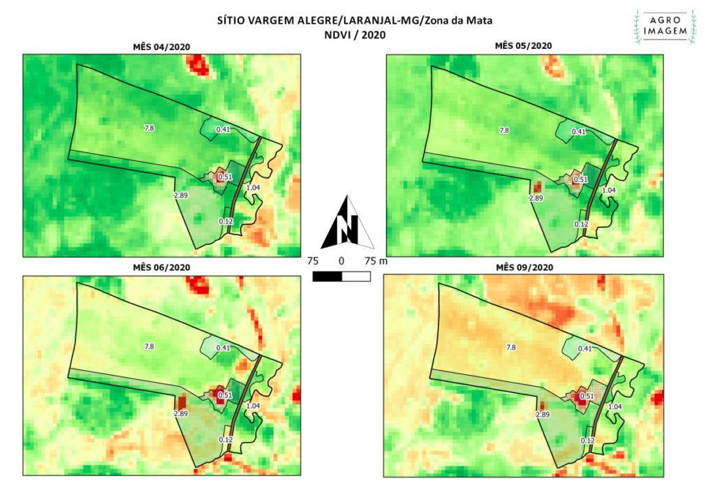 Mapas NDVI